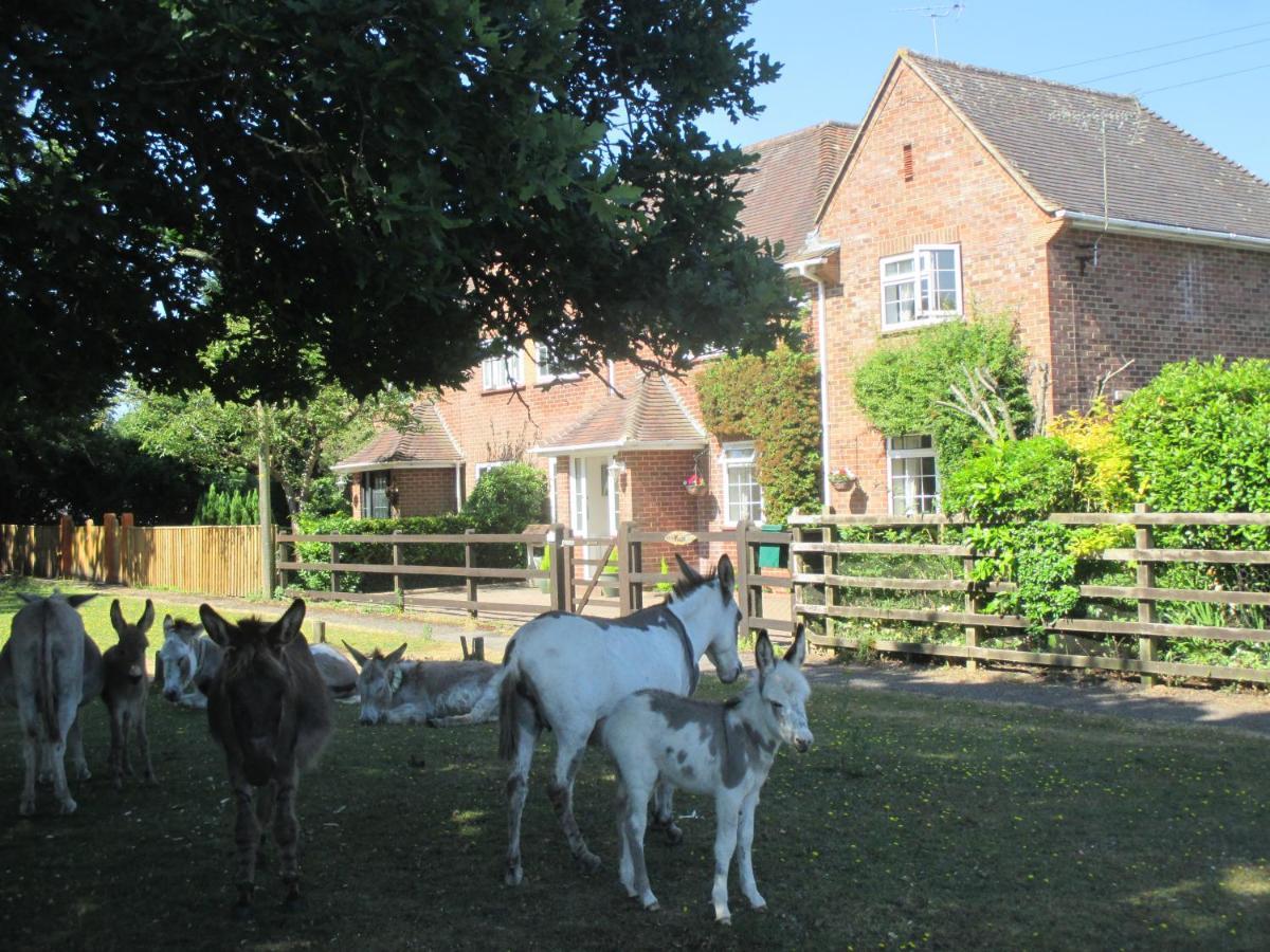 Hops Main House, Brockenhurst, New Forest Villa Ngoại thất bức ảnh