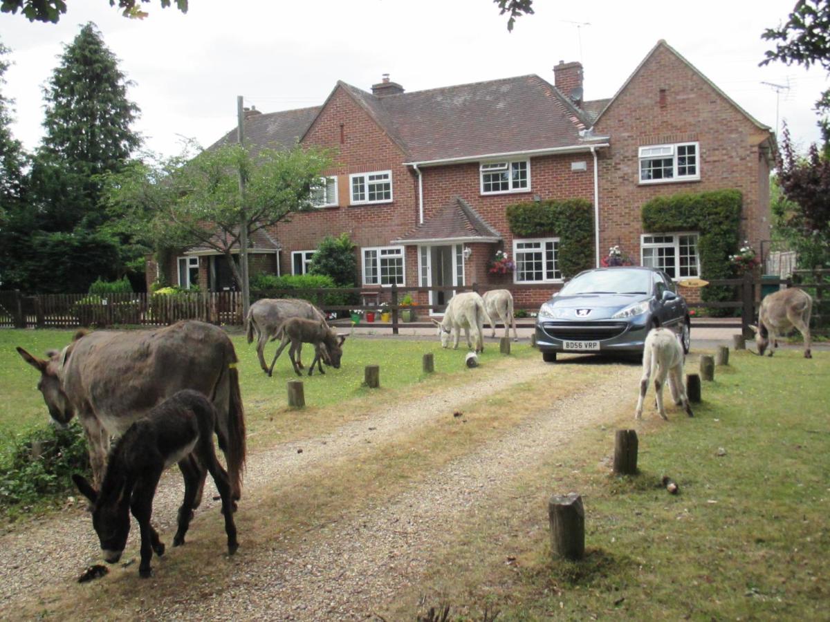 Hops Main House, Brockenhurst, New Forest Villa Ngoại thất bức ảnh